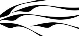 birdie art